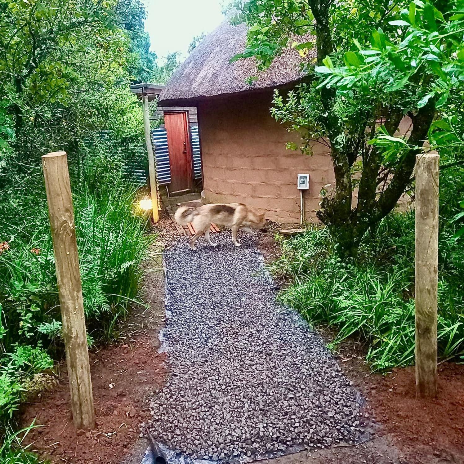 Drakensberg Inkosana Lodge Champagne Valley Exterior photo